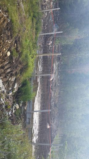 Kan bestilles på ditt julebord.