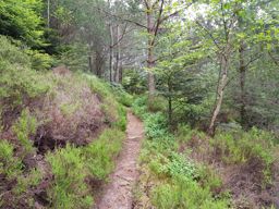 Les Jumeaux et la roche du Thoné