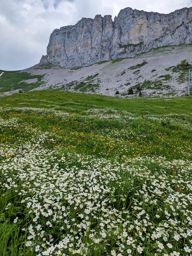 Leysin rando ferrata