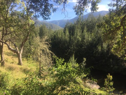 Looking N/W up the river on the old Grafton-Glen Innes Road