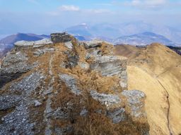 Rovio à monto Generoso