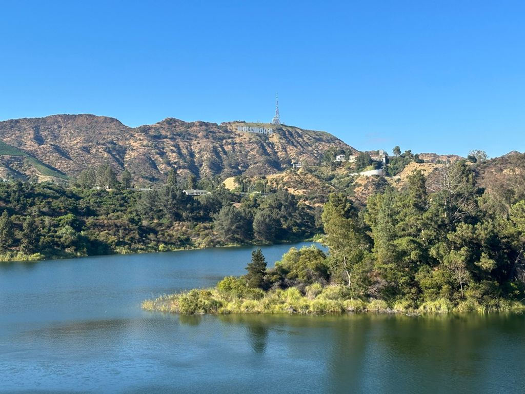 NBB run - Lake Hollywood: фото 92