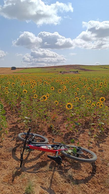 [MTB] - Ruta del Románico Palentino 🤎 (la 4ª ya)