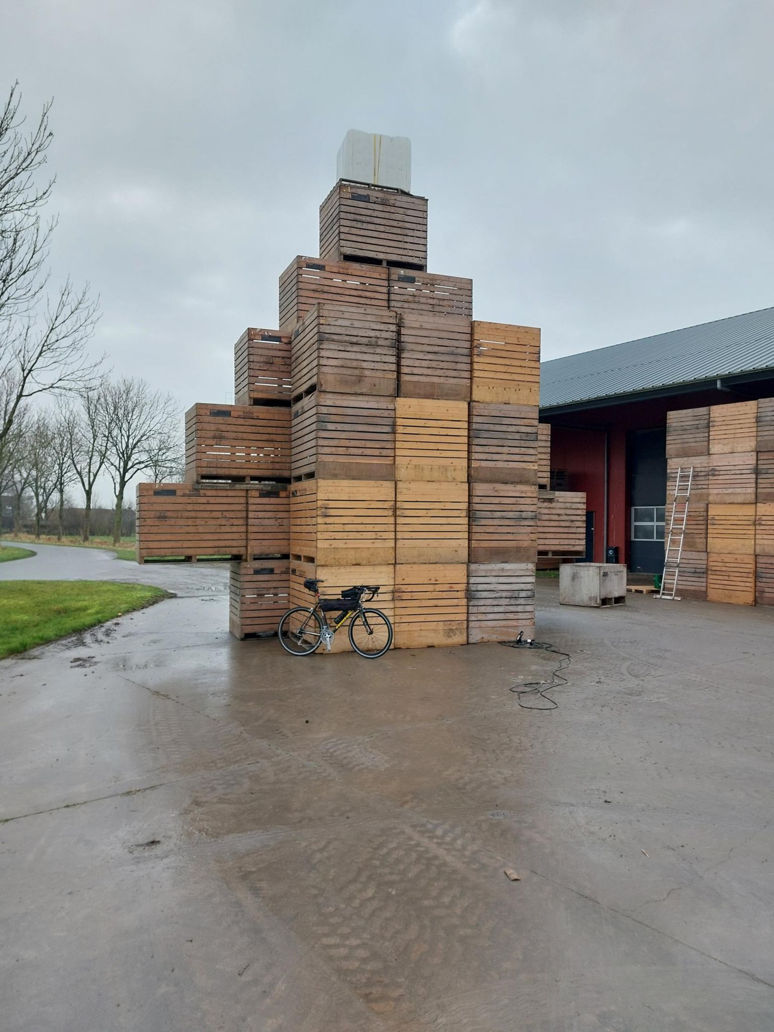 Mooie kerstboom van aardappel kisten te Aduarderzijl 