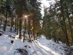 MTB VTT Rambiroche Ganaux