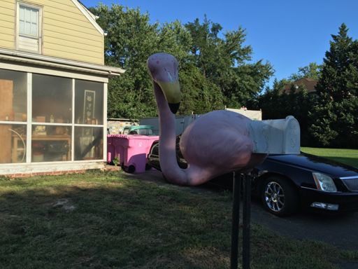 You've got Flamingo!