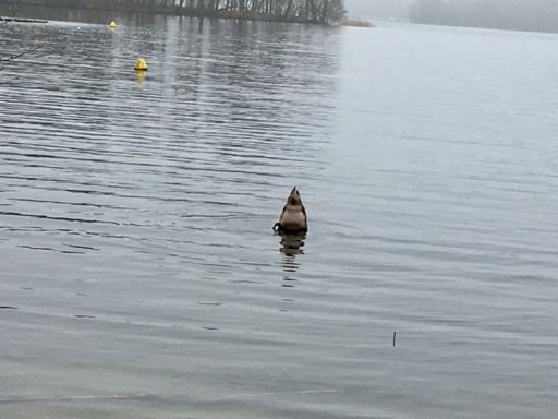 Einfach mal abtauchen