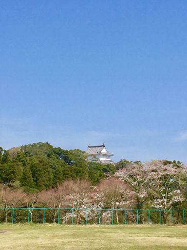 引きで全体見えるいい場所見つけられなかった