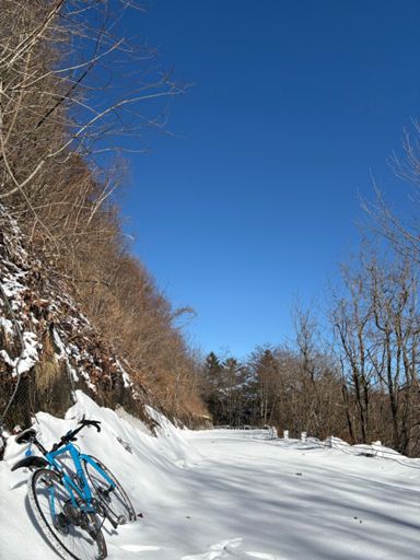 一旦降りると、登れない。