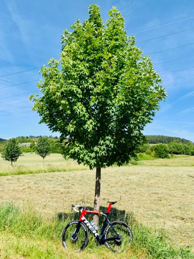 ☝🏻🌞🌳🚴🏻😎🔝👍🏻