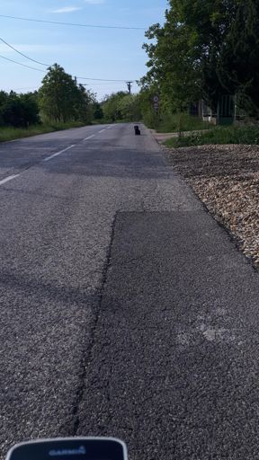 A telepített "fix" trafipax kutty.. :) szerencsére elég jó reflexei vannak...