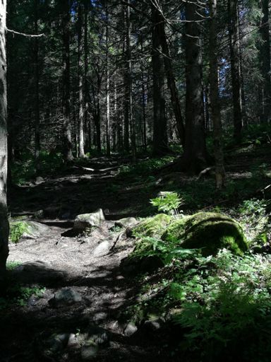 Stien mellom Fyllingen og Langlivann