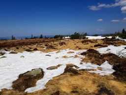 Boucle des chaumes du Lac Blanc au Hohnack