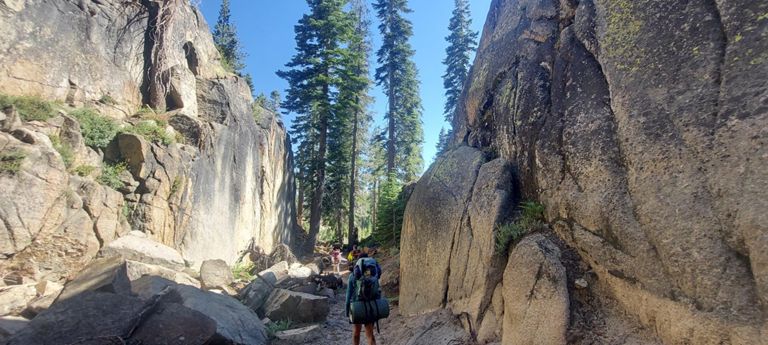 The Meadow Eschenau 1986-2013 tamiser購入 The Meadow Eschenau 1986