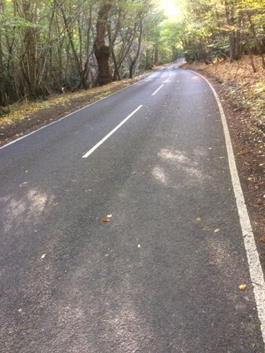 Isn't it lovely at this time of the year!