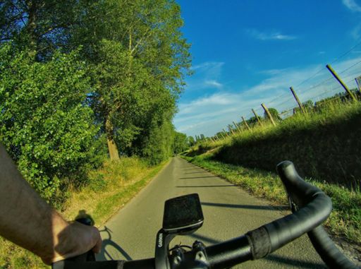 Lanterfanten in de velden