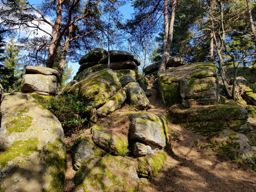 Boucle des chaumes du Lac Blanc au Hohnack