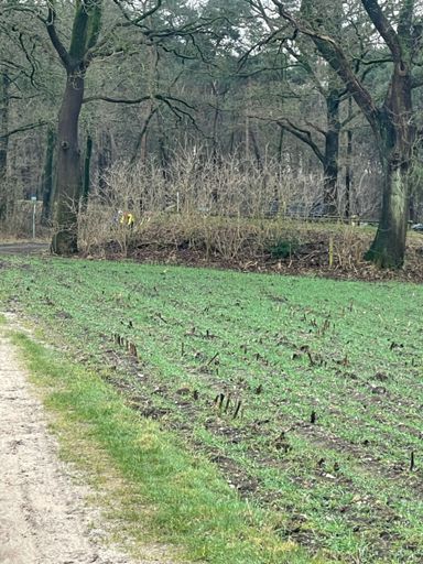 Daar komen de schutters, daar komen ze an😂😂