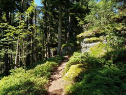 Trotte dans le Kemberg