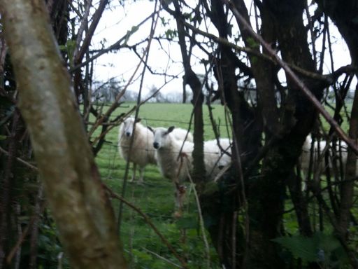 Where are our babies?......