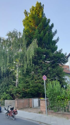 Frankfurt_ID22844_KM_Landgraf-Philipp-Straße 63