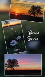 Sortie vélo en soirée