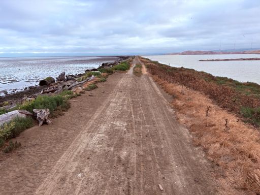 North of Dumbarton Bridge 