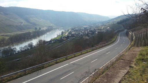 Mosel
