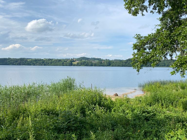 HInnerup Ry 78.5 km Cycling Route on Strava