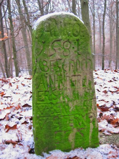 Rittersprung:
An dieser Stelle soll Ritter Bernhart von Sternenfels seinen Verfolgern entkommen sein. Es geht hier sehr steil, nahezu senkrecht bergab. Ritter Bernhart ist wohl trotzdem heruntergeritten und bewies den Mut, den seine Verfolger nicht hatten.
Inschrift im Stein: Anno 1581 geschah ein ritterlicher Sprung von Bernhart von Sternenfels