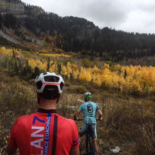 Look at that Moose!!