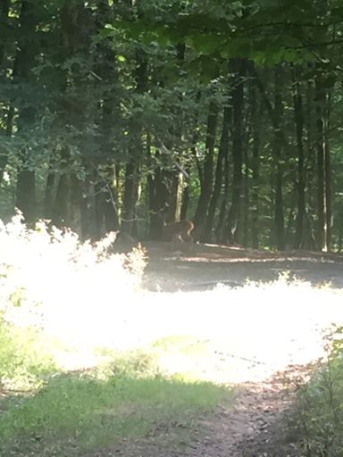 On fait souvent de belles rencontres mais ce n'est pas évident à prendre en photo.