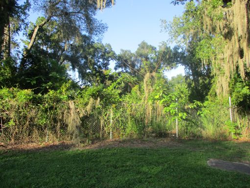 The Belleview Grotto is now fenced off. Probably a good idea as the sinkhole is about 50 feet deep and overgrown.