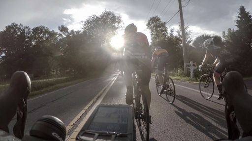 Caught these guys for a bit.