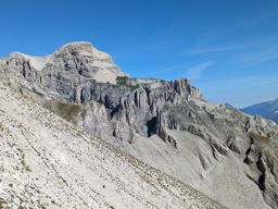 Tête de Lapras et la Cavale par le Nid