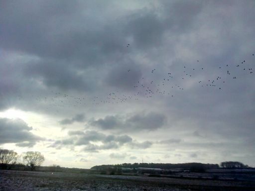 ???? ??????? ???. ????.