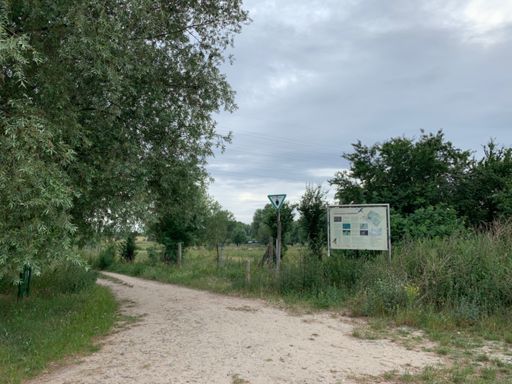 Und so ging‘s durch die Falkenberger Rieselfelder nach Ahrensfelde. Der sandigste Abschnitt dieser Tour sollte etwa einen halben Kilometer später folgen. Da durfte ich dann Gravelino schieben.
