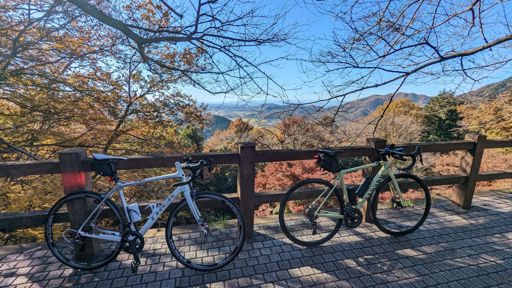 大平山登った(最後歩いたのはナイショです😅)