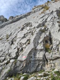 Dents de Savigny et de Ruth avec Raphaël et Stéphane