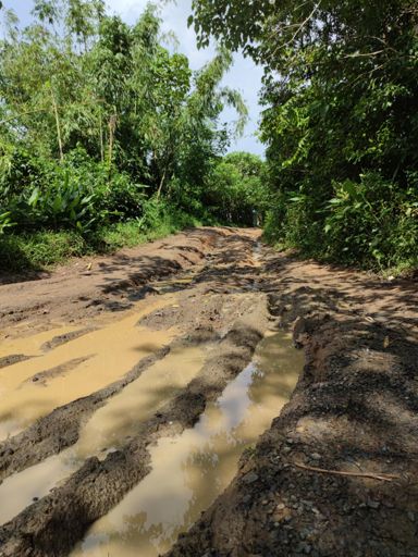 Sample ng putikang dinaan namin