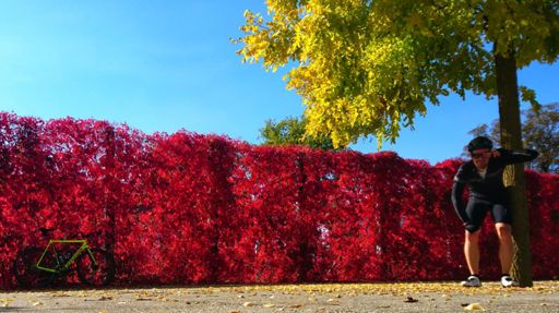 #spokealuminati #ridecannondale #fabriccycling #sugoiapparel #wahoofitnessofficial #diagnoseberlin #deinemudder