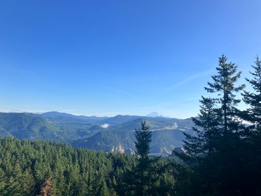 adams and river views