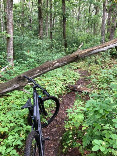 Blockat i både x, y & z