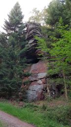 Sortie à vélo en soirée