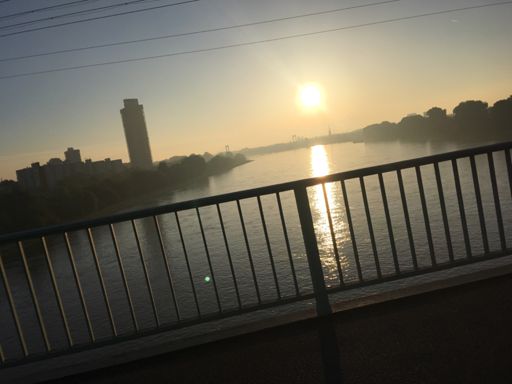 Good moooooorning Kölle