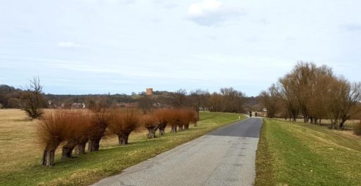 Da sind sie (einige)