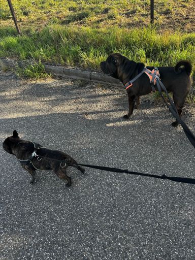 ❤️❤️🤩🤩