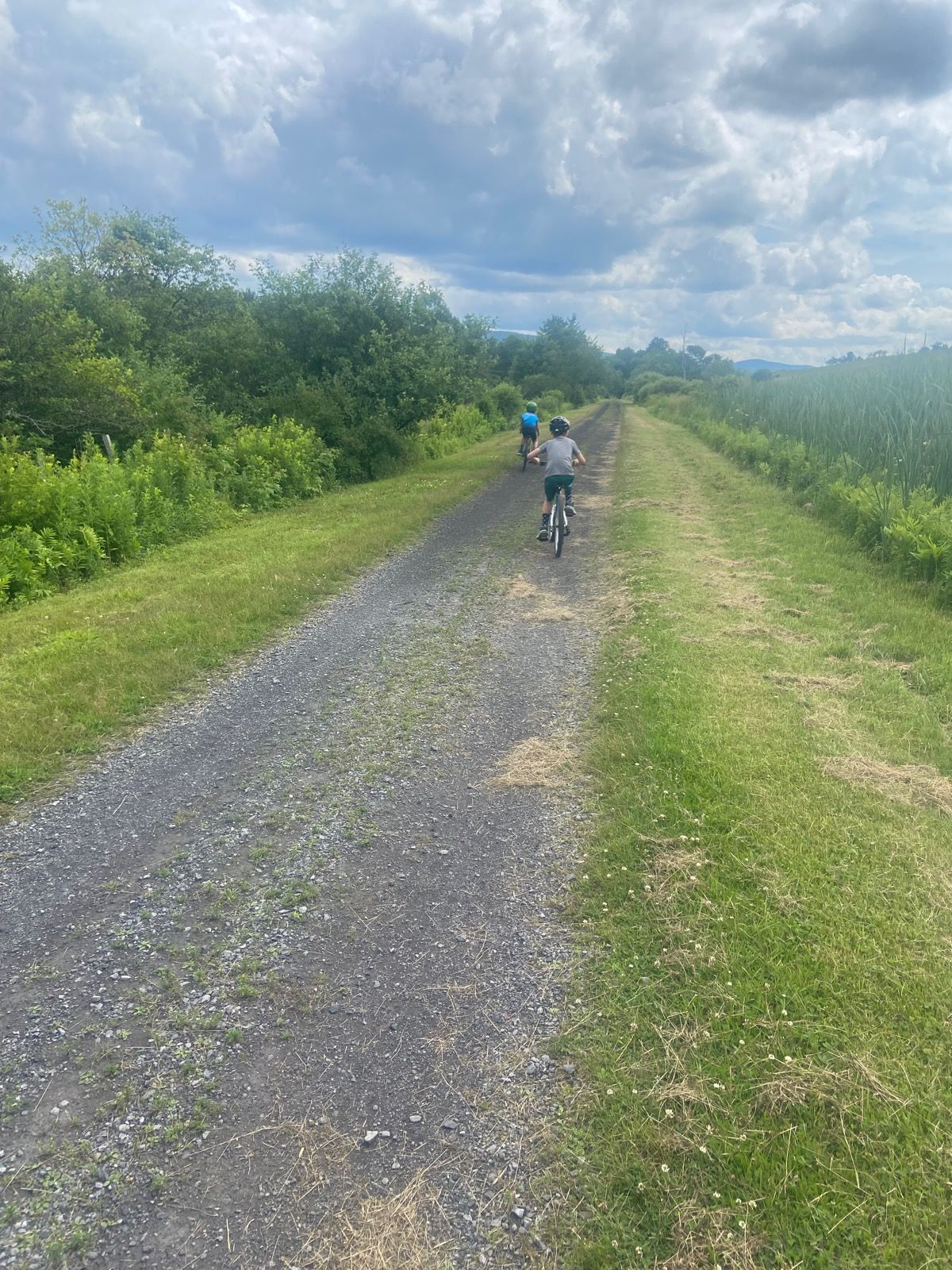 www.strava.com