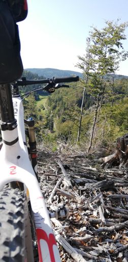 "neuer" Blick in den Röthengrund