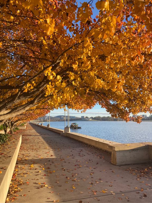 lake-burley-griffin-loop-5km-5-0-km-running-route-on-strava